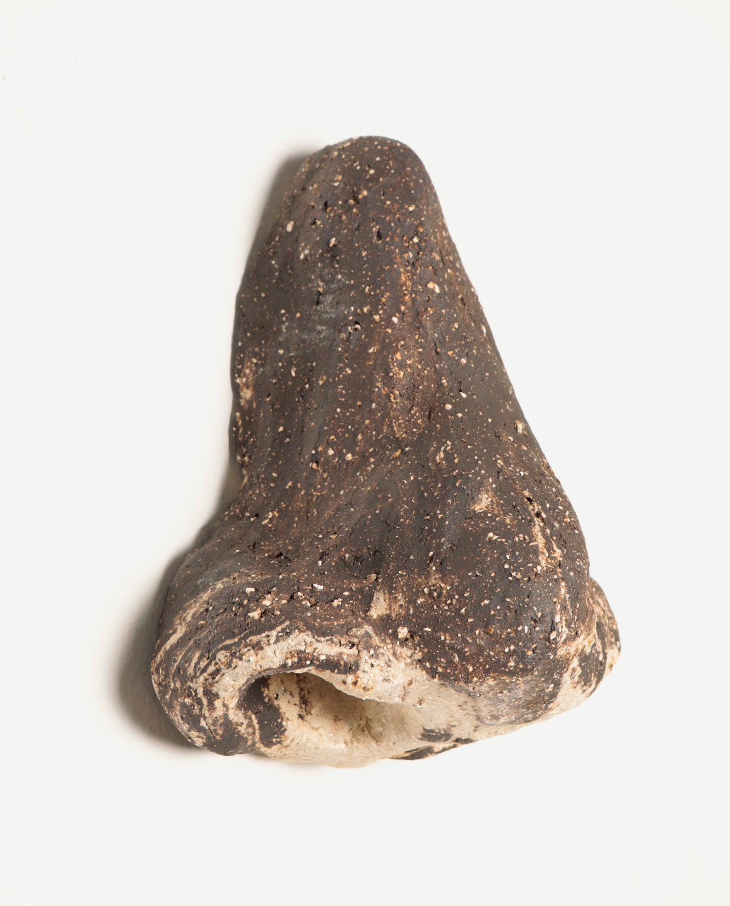 Nez en terre cuite chamottée brute, composé d'un mélange de deux terres, noire et blanche..