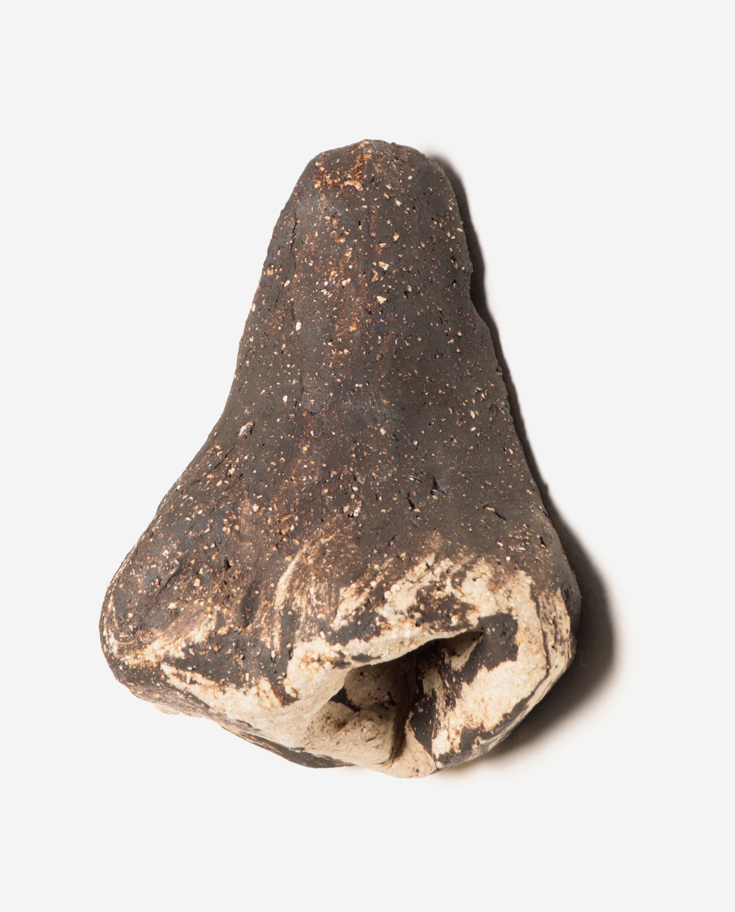 Nez en terre cuite chamottée brute, composé d'un mélange de deux terres, noire et blanche..