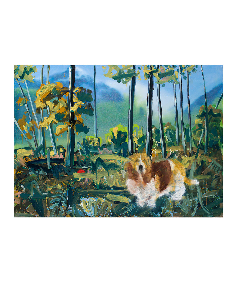 "Le Chien"  Fabien Boitard